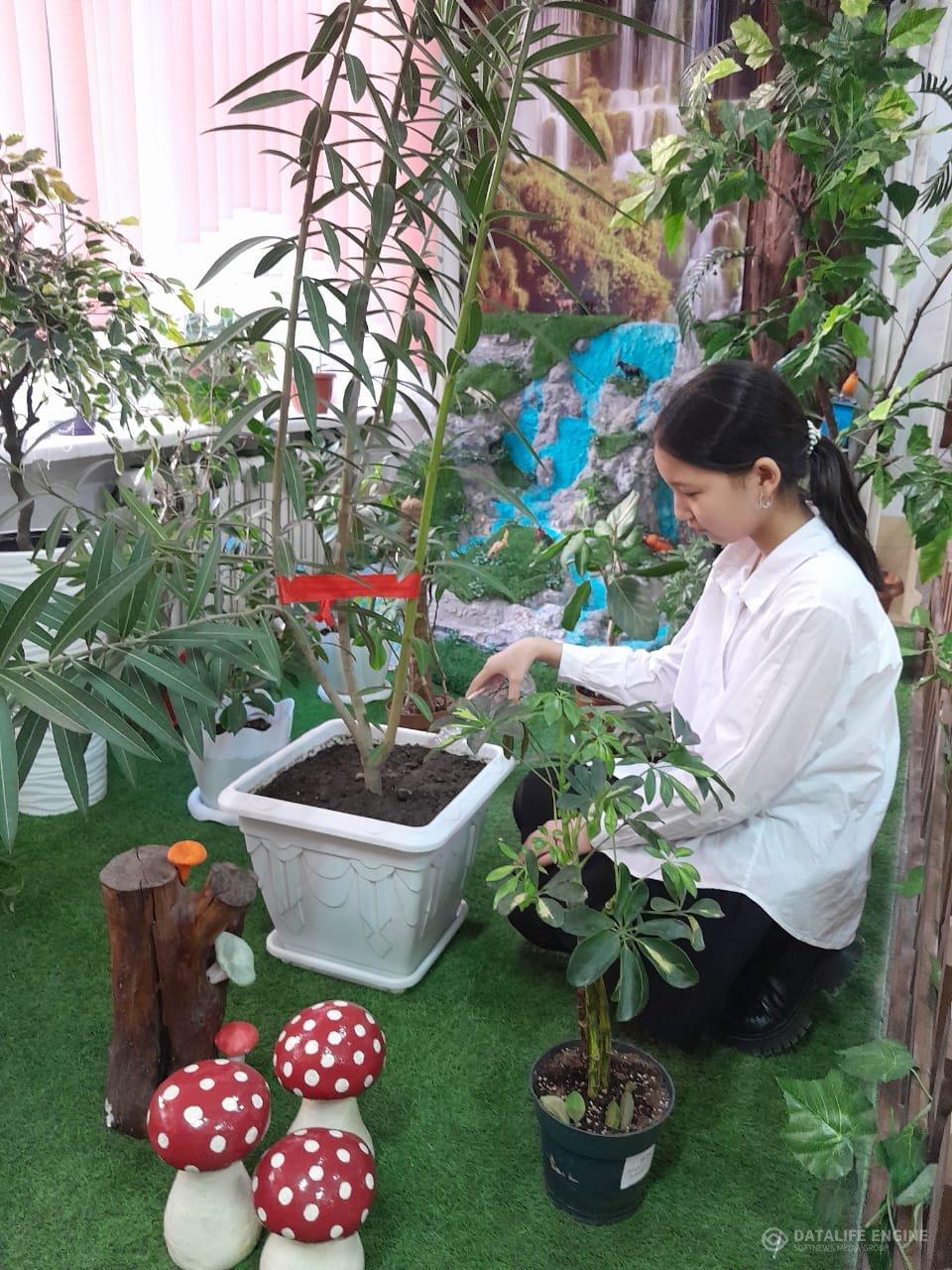 "Экология және денсаулық" үйірмесі